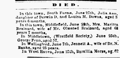 Constitution_1863-07-01_[3]