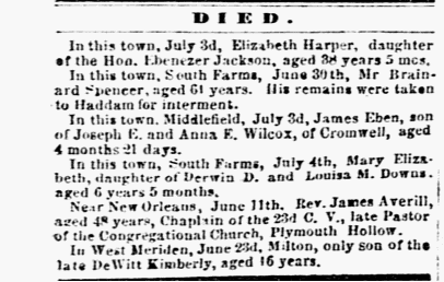 Constitution_1863-07-08_[3]